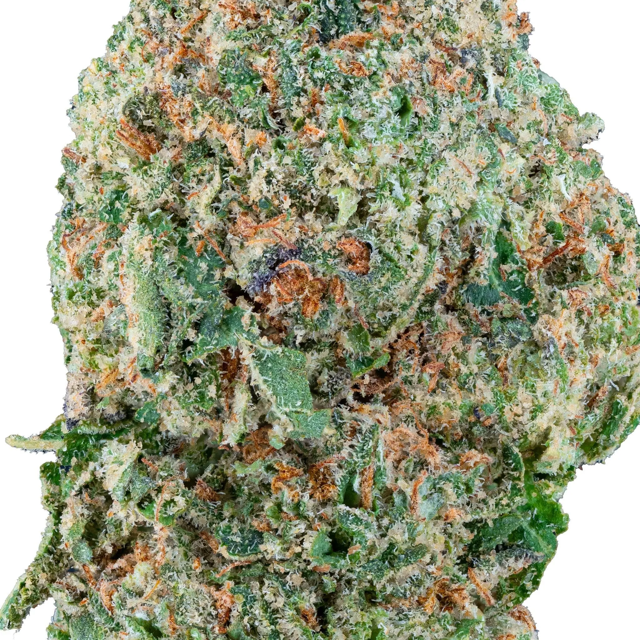 Thumbnail 16